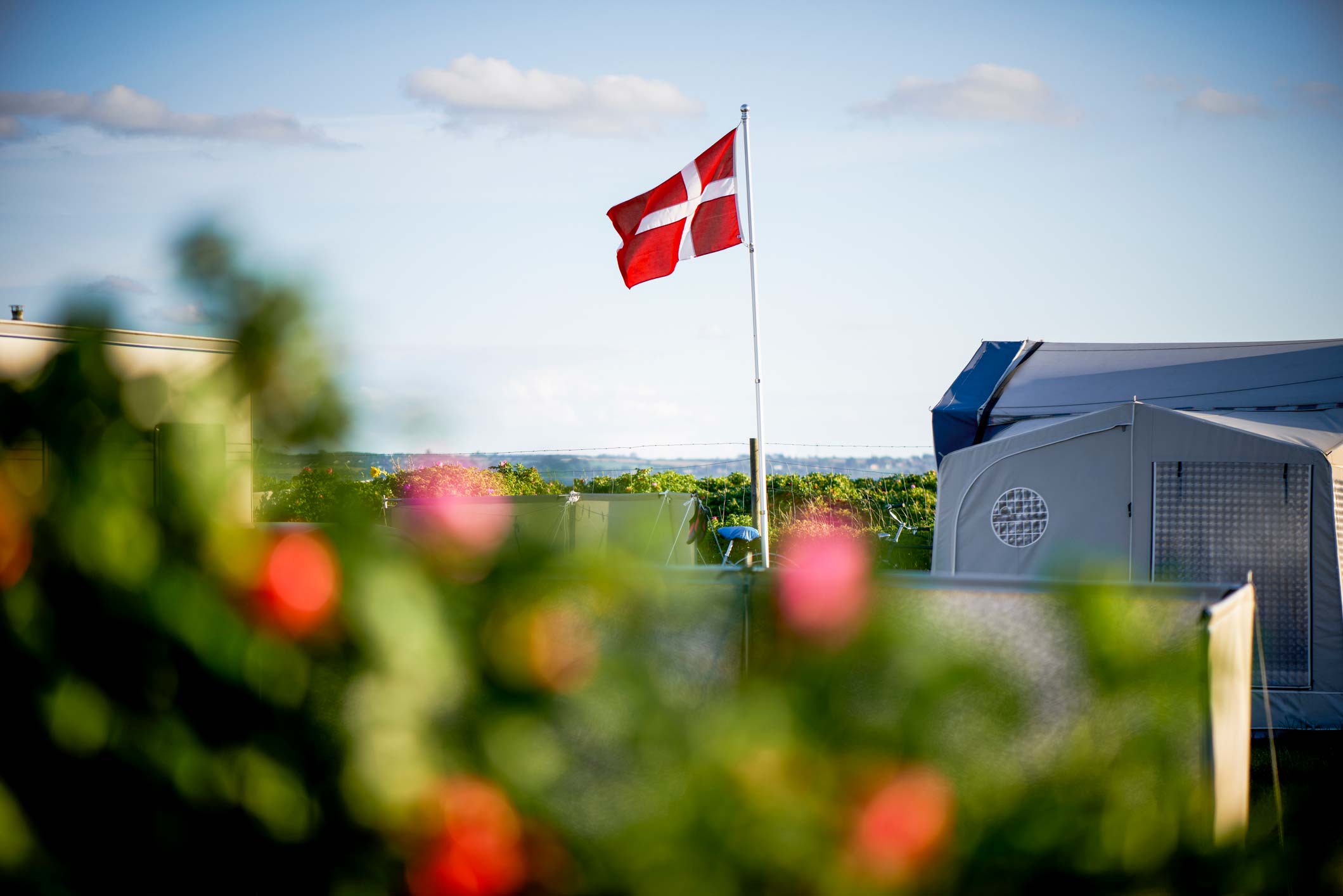 Dansk flag på flagstang vejer i vinden på campingplads.