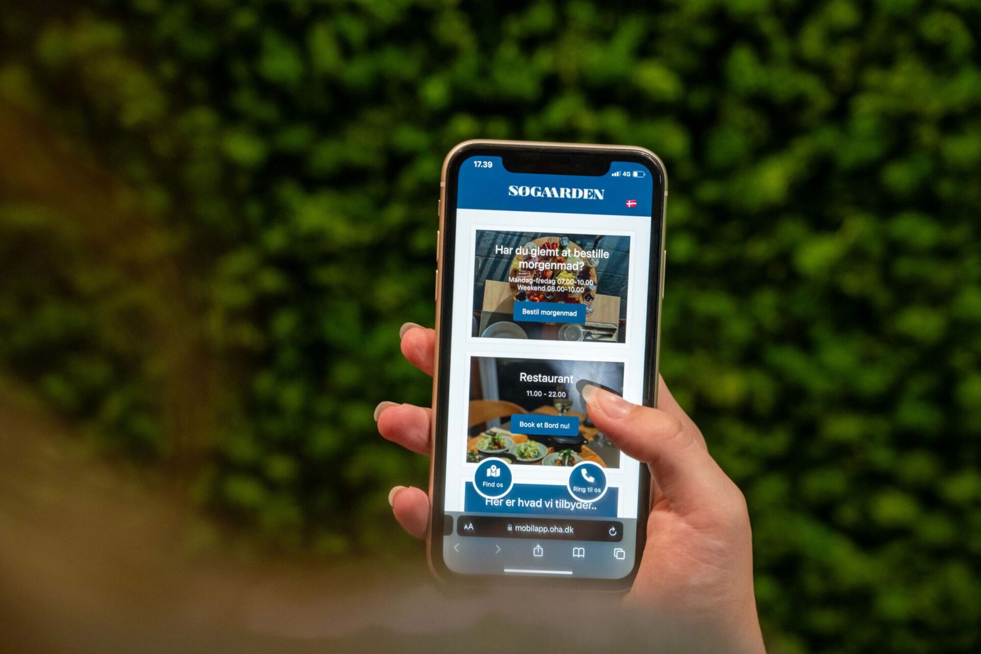 Mobiltelefon viser app'en GoCampings gæsteservice til campingpladser på skærmen.